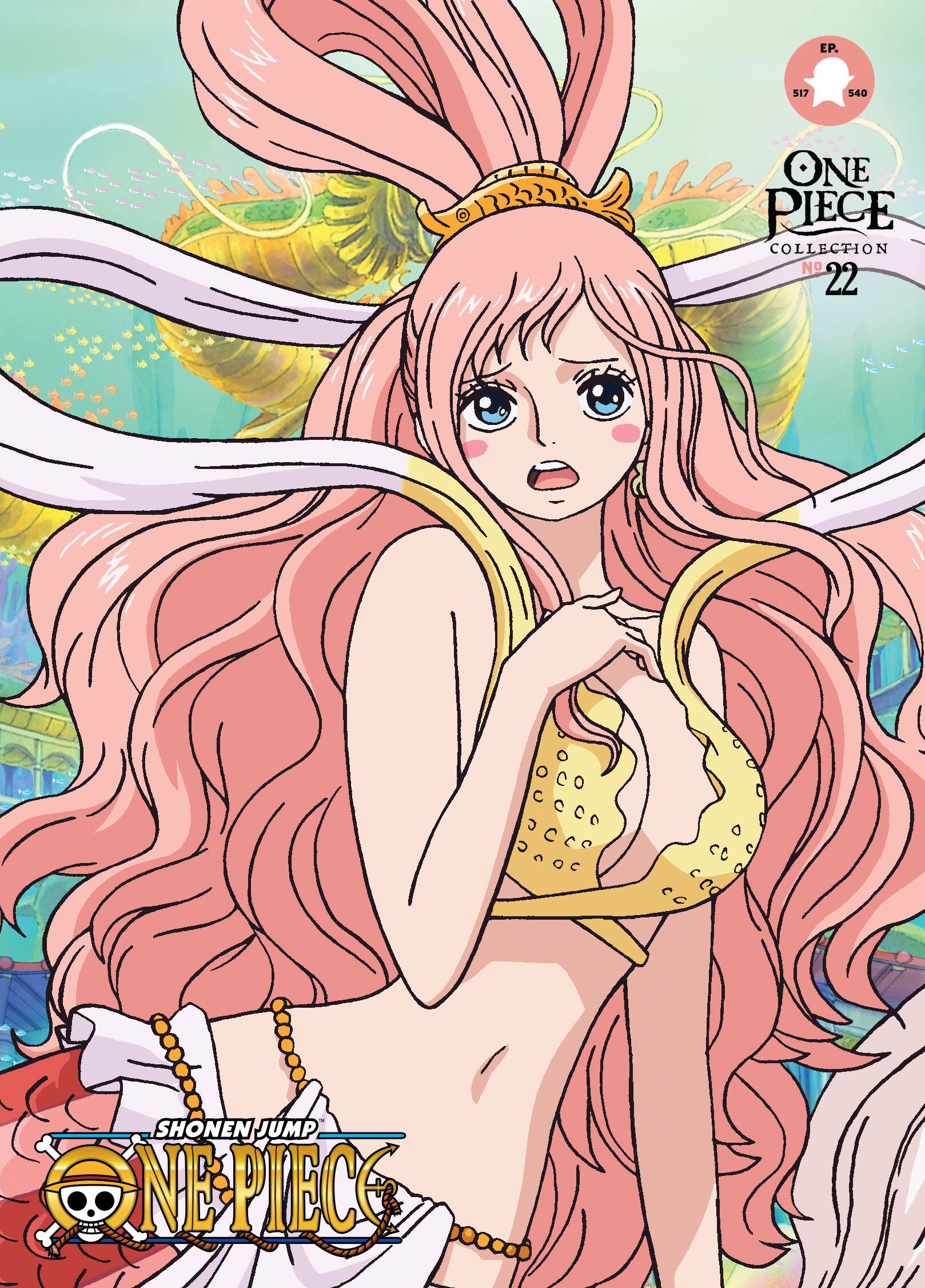 Alt View 1. One Piece: Collection 22   - DVD.