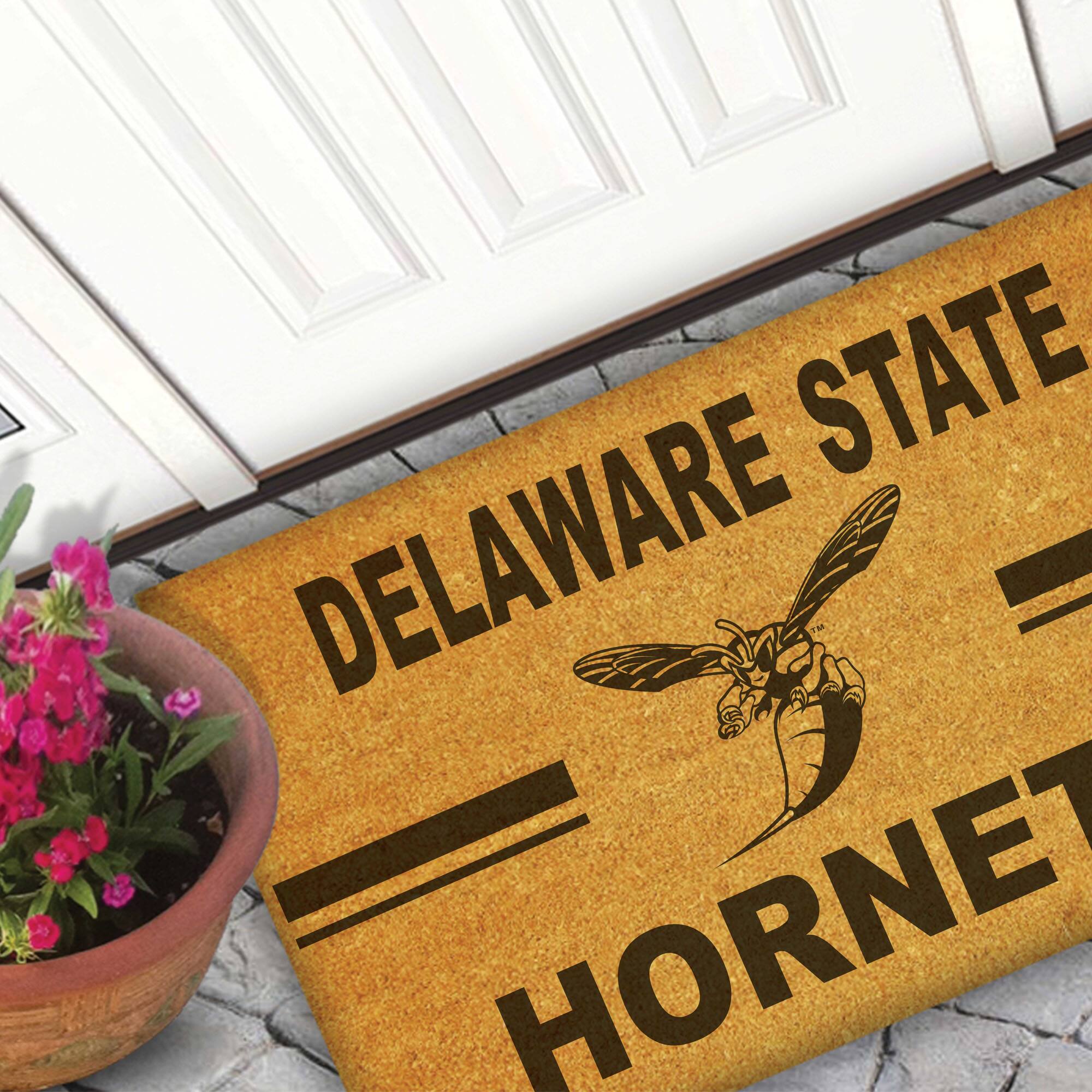 DELAWARE STATE  
HORNET