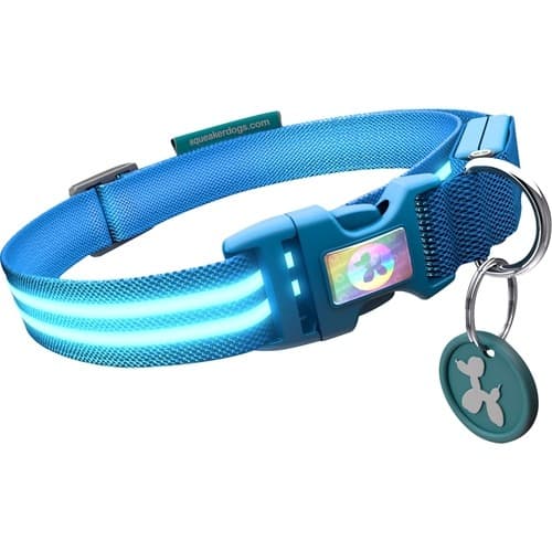 Squeaker - Poochlight Light Up Flashing Collar (Large) - Electric Blue - Larger Front