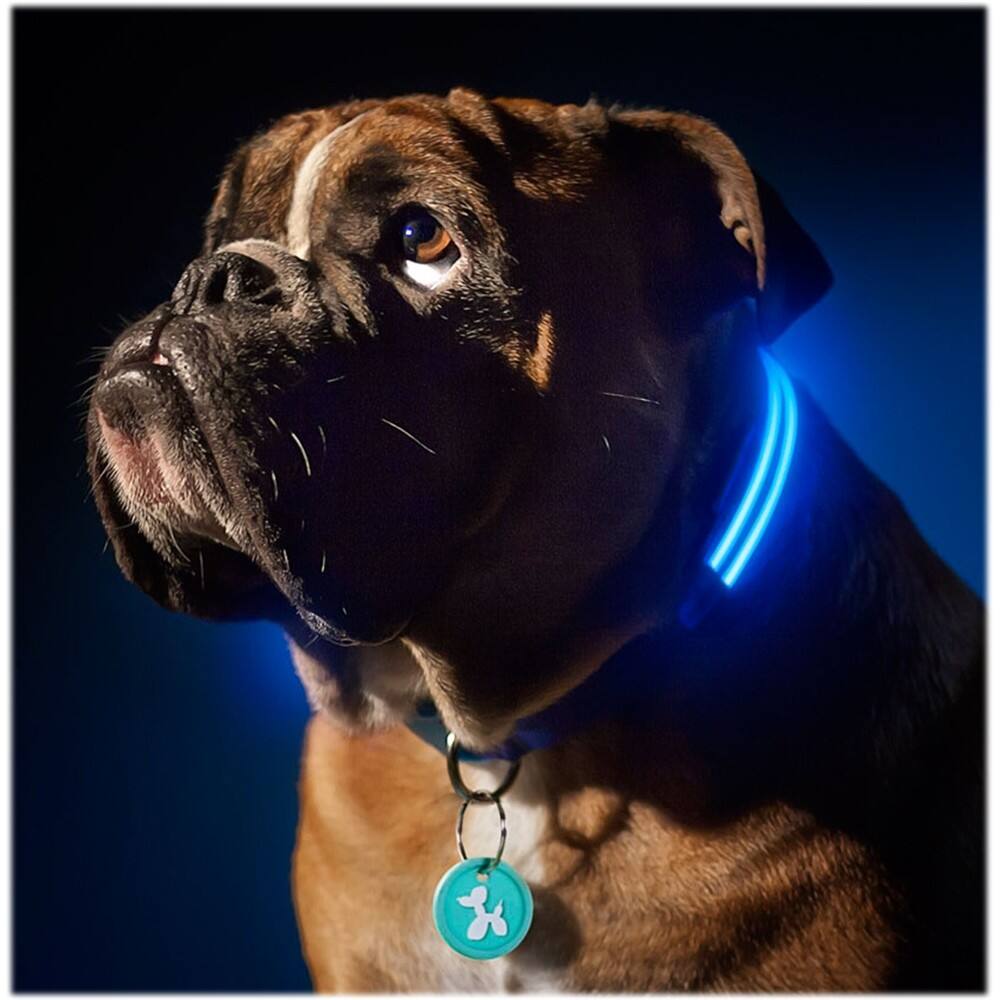 Best Buy Squeaker Poochlight Light Up Flashing Collar Large