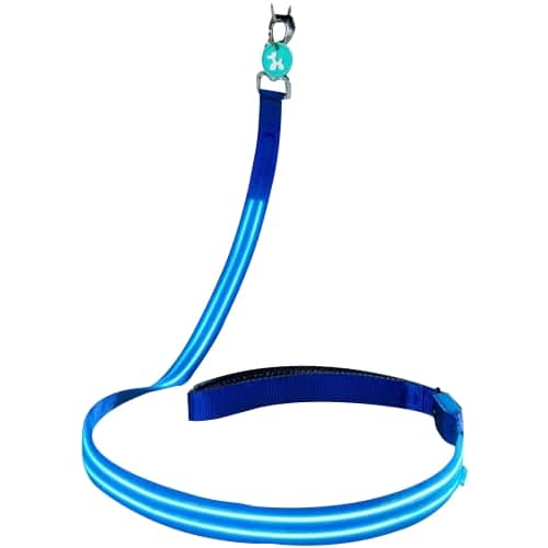 Squeaker - Poochlight Light Up Flashing Dog Leash - Electric Blue - Larger Front