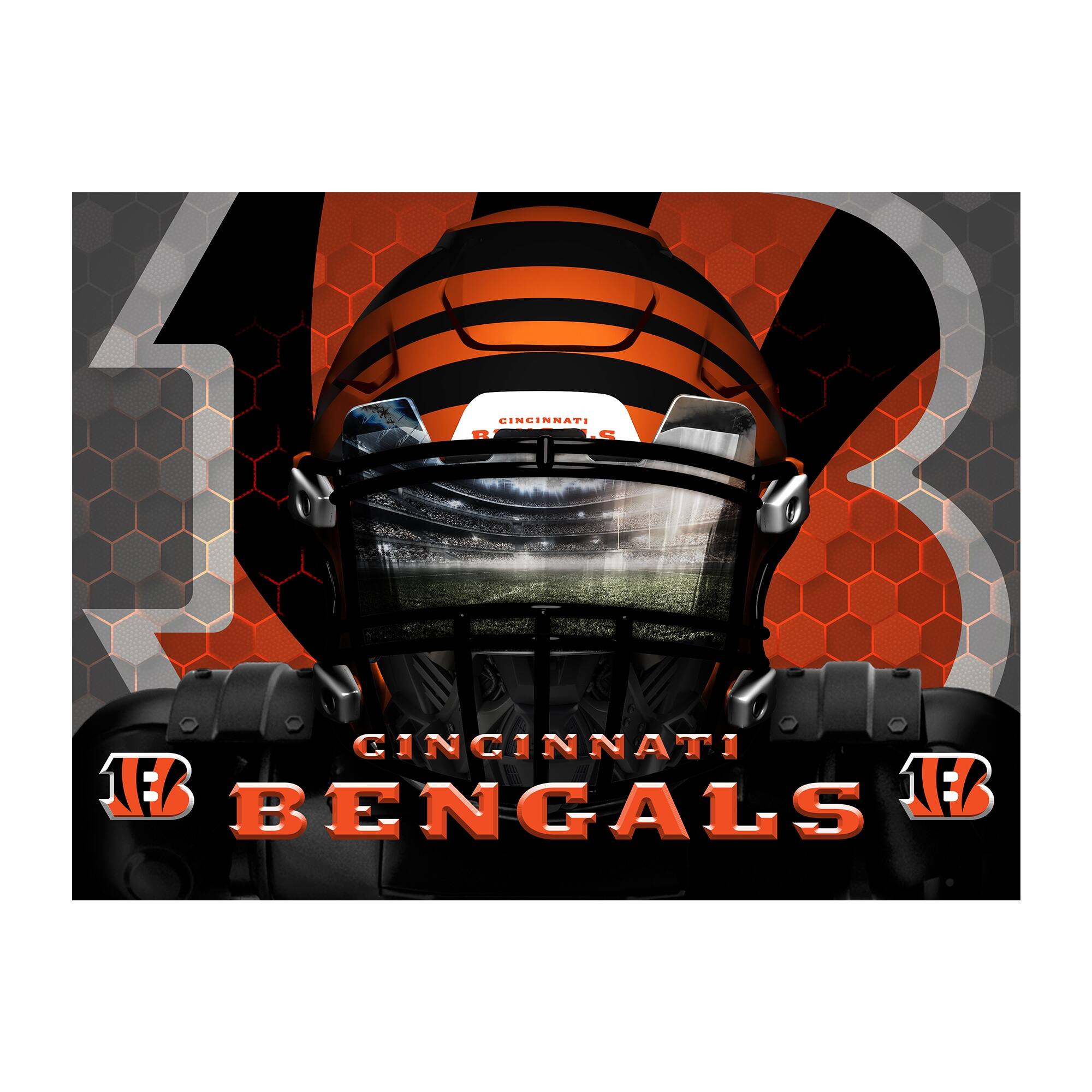 CINCINNATI BENGALS