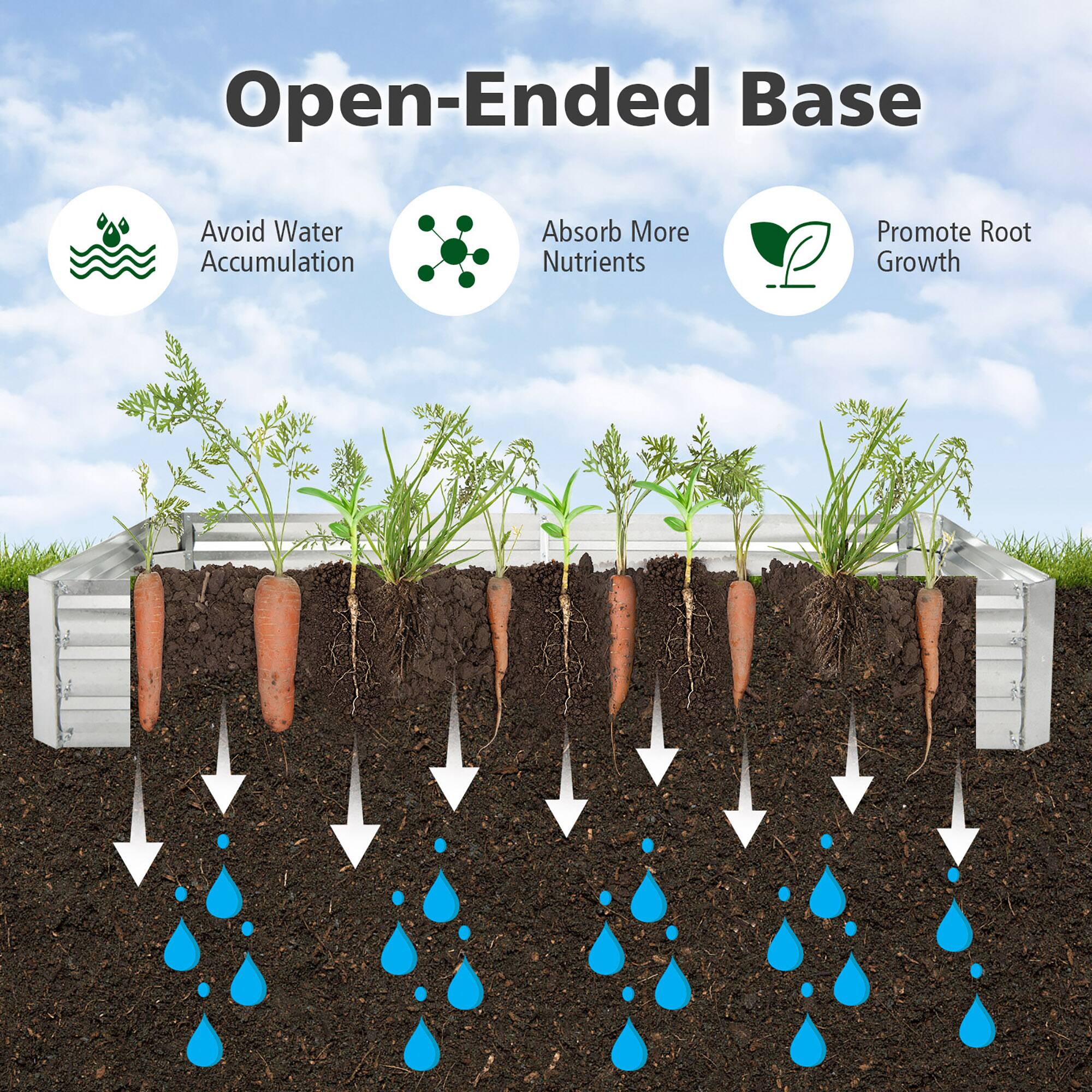 Open-Ended Base  
- Avoid Water Accumulation  
- Absorb More Nutrients  
- Promote Root Growth