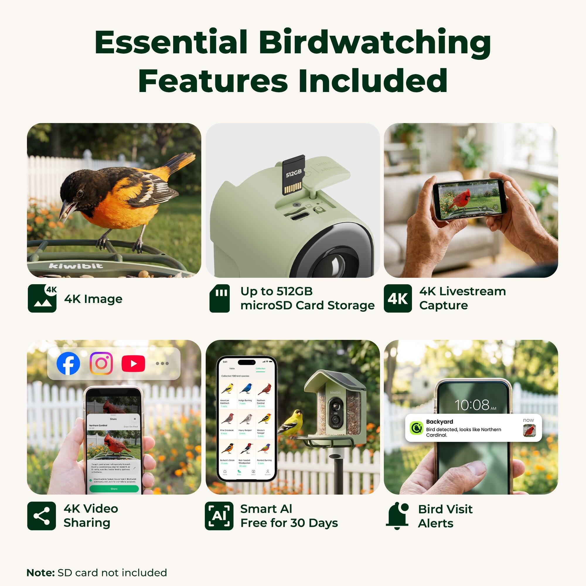 Essential Birdwatching Features Included

- 4K Image
- Up to 512GB microSD Card Storage
- 4K Livestream Capture
- 4K Video Sharing
- Smart AI Free for 30 Days
- Bird Visit Alerts

Note: SD card not included