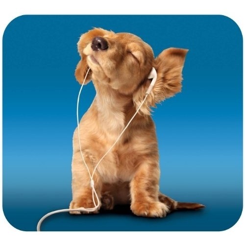  Handstands - Deluxe Music Dog Mouse Pad - Blue/Tan