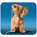 Alt View Standard 20. Handstands - Deluxe Music Dog Mouse Pad - Blue/Tan.