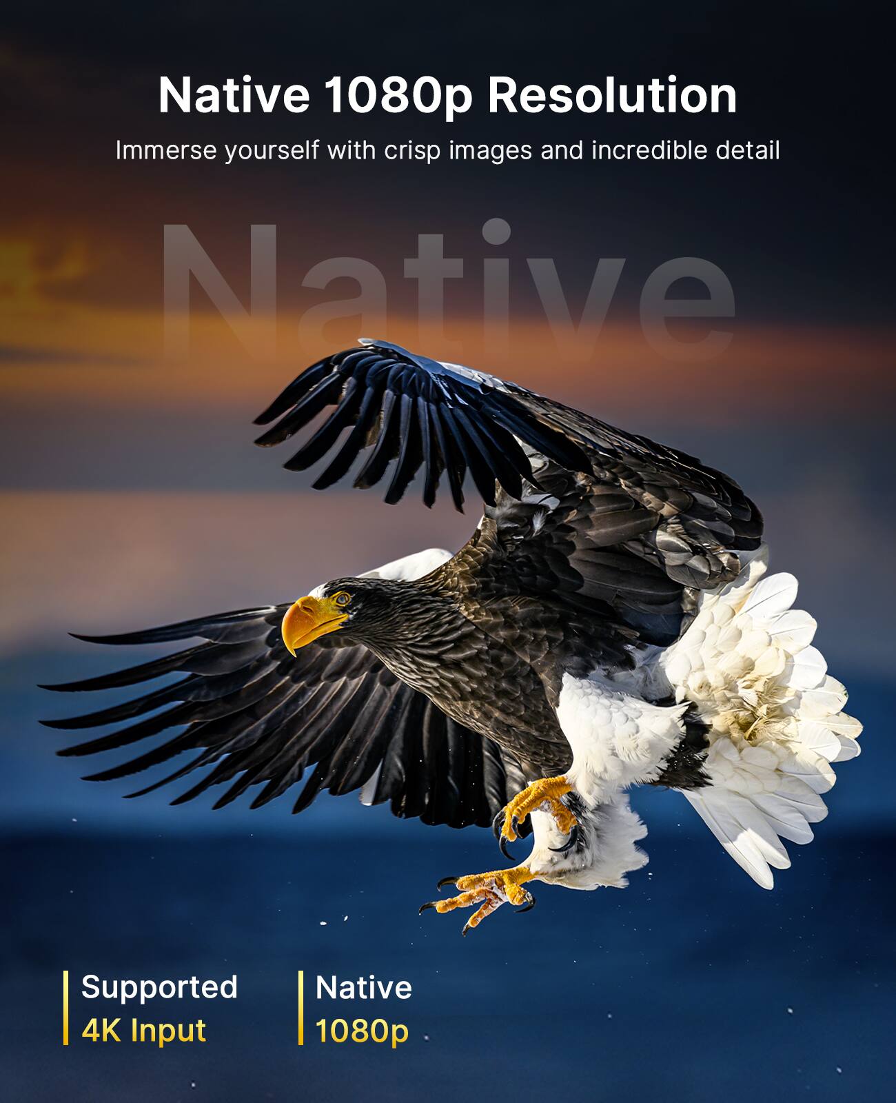 Native 1080p Resolution  
Immerse yourself with crisp images and incredible detail  

Supported 4K Input  
Native 1080p