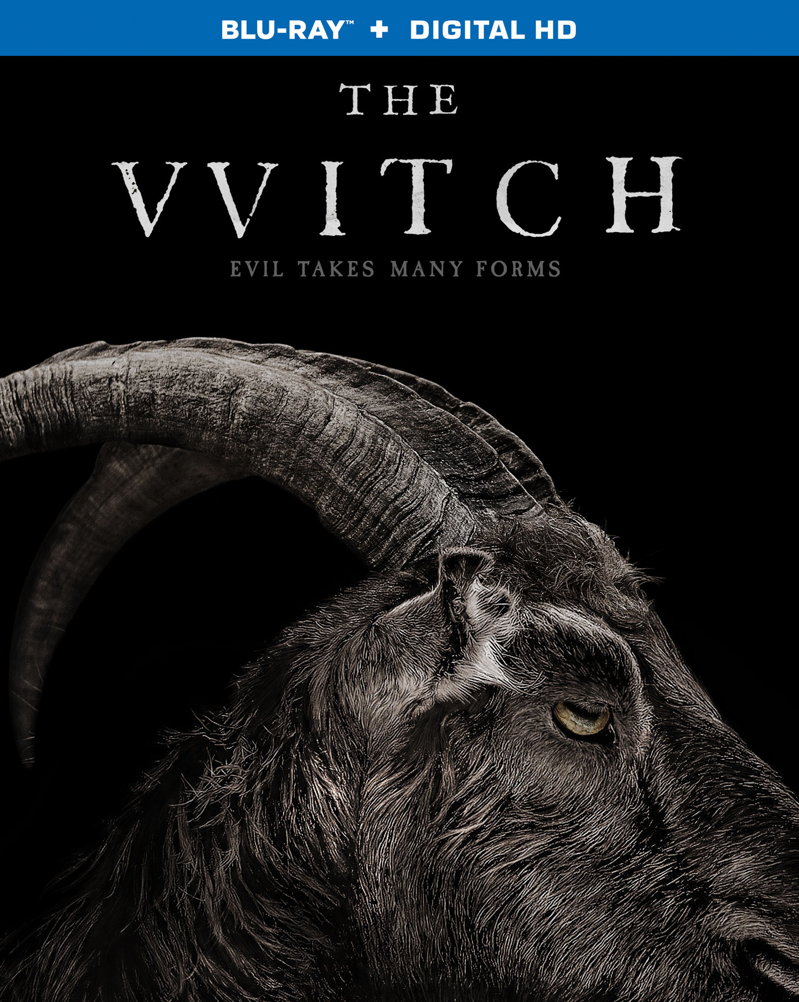 The Witch [Includes Digital Copy] [Blu-ray] [2015]