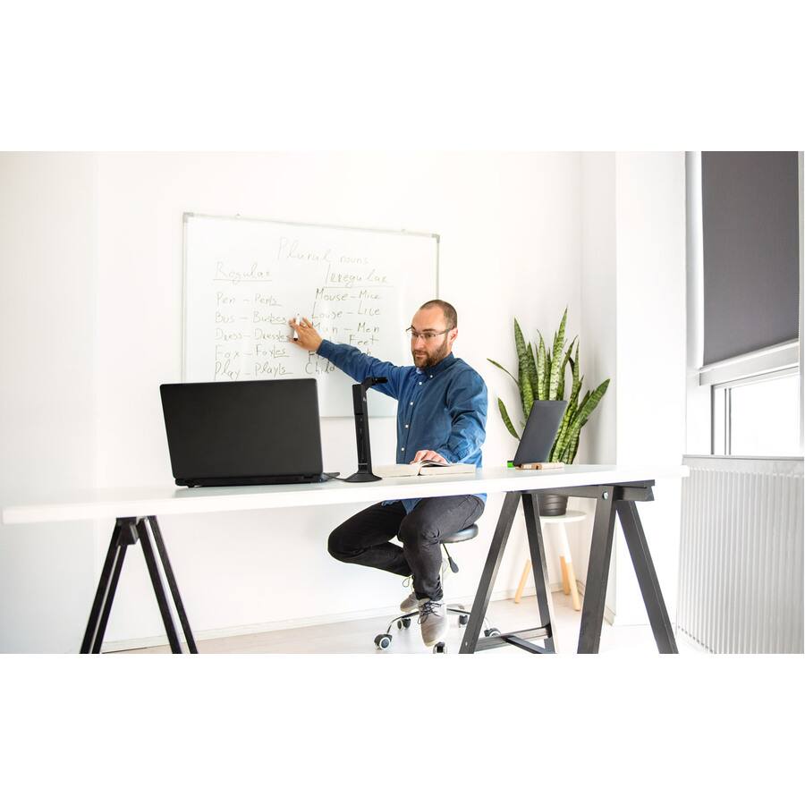 Plural & nouns

Regular
Pen - Pens
Bus - Buses
Dress - Dresses
Fret - Frets
Play - Plays

Irregular
Mouse - Mice
Louse - Lice
Man - Men
Foot - Feet
Child - Children