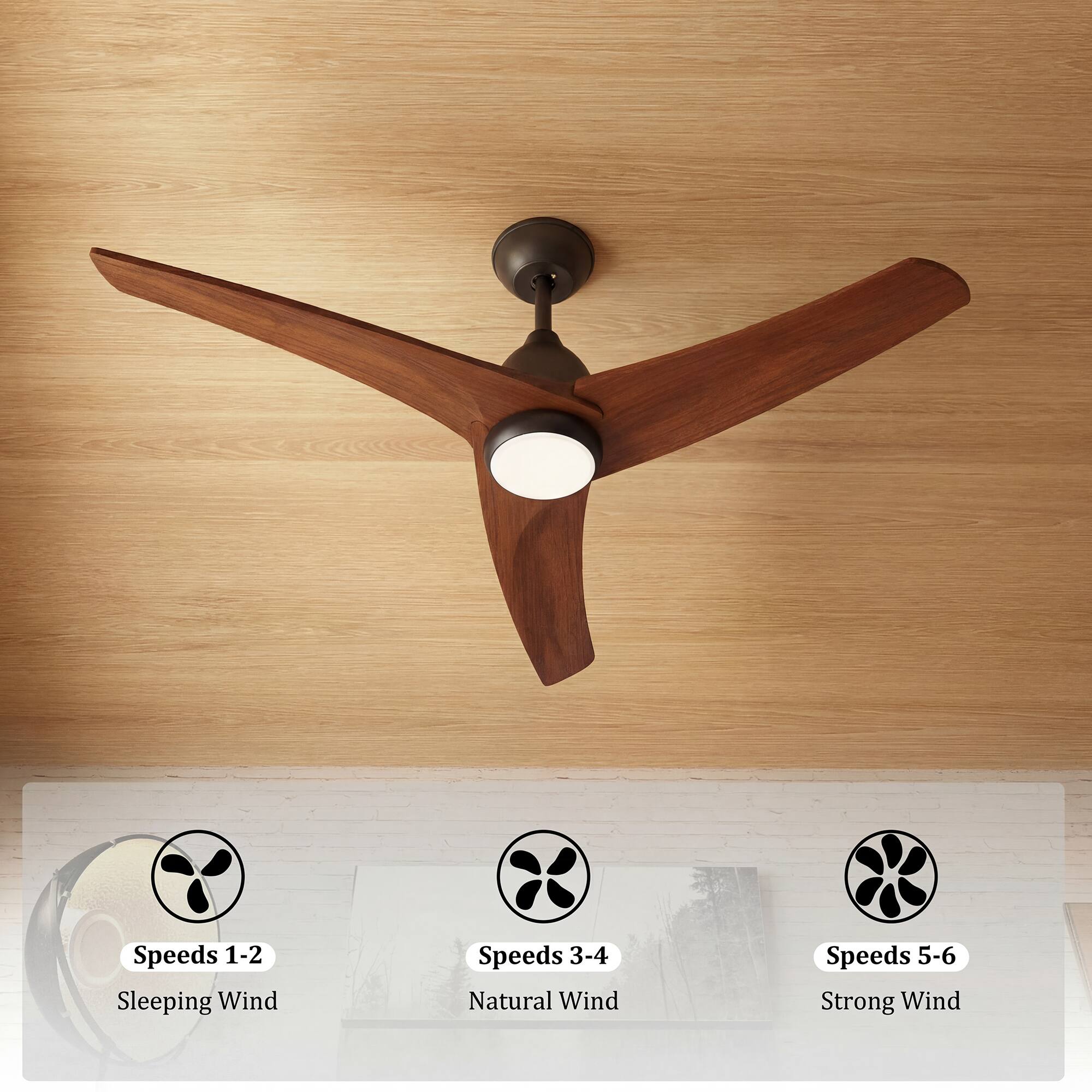 Speeds 1-2: Sleeping Wind  
Speeds 3-4: Natural Wind  
Speeds 5-6: Strong Wind