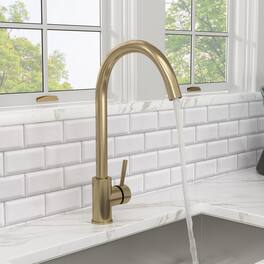 Kitchen Sink Faucet with Single Handles