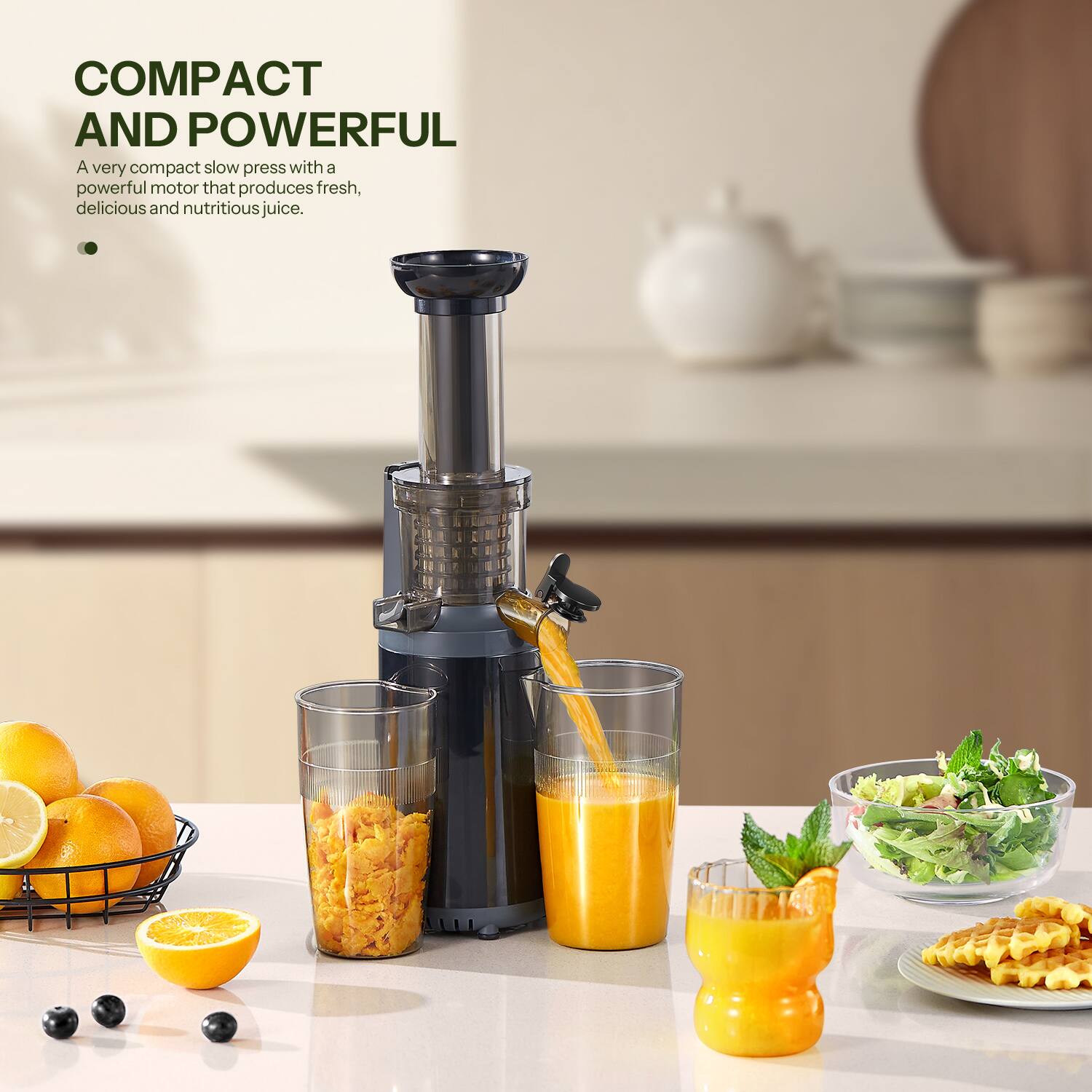 COMPACT AND POWERFUL

A very compact slow press with a powerful motor that produces fresh, delicious and nutritious juice.