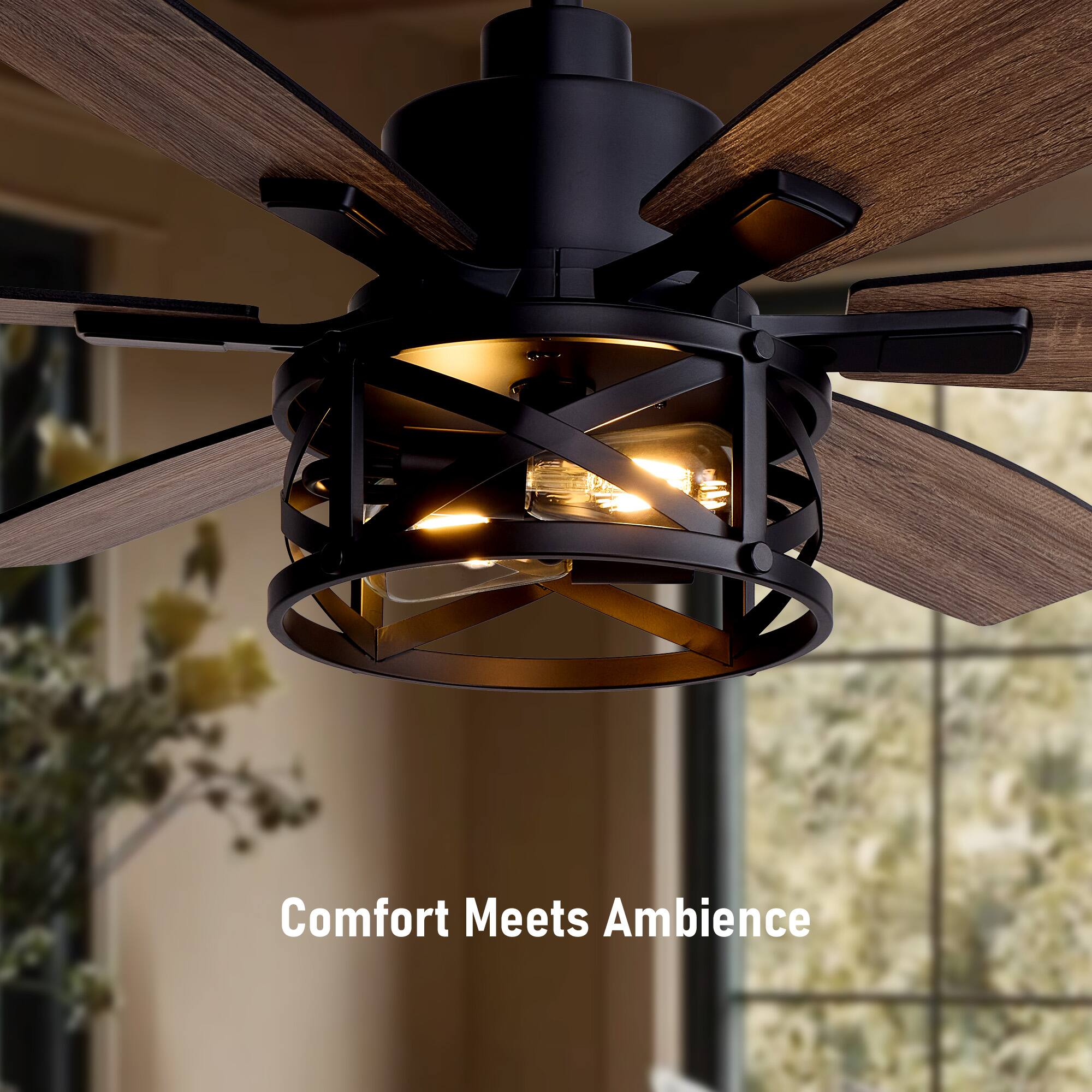 Comfort Meets Ambience