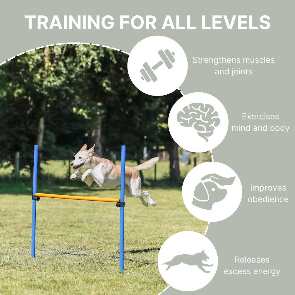 TRAINING FOR ALL LEVELS

- Strengthens muscles and joints
- Exercises mind and body
- Improves obedience
- Releases excess energy