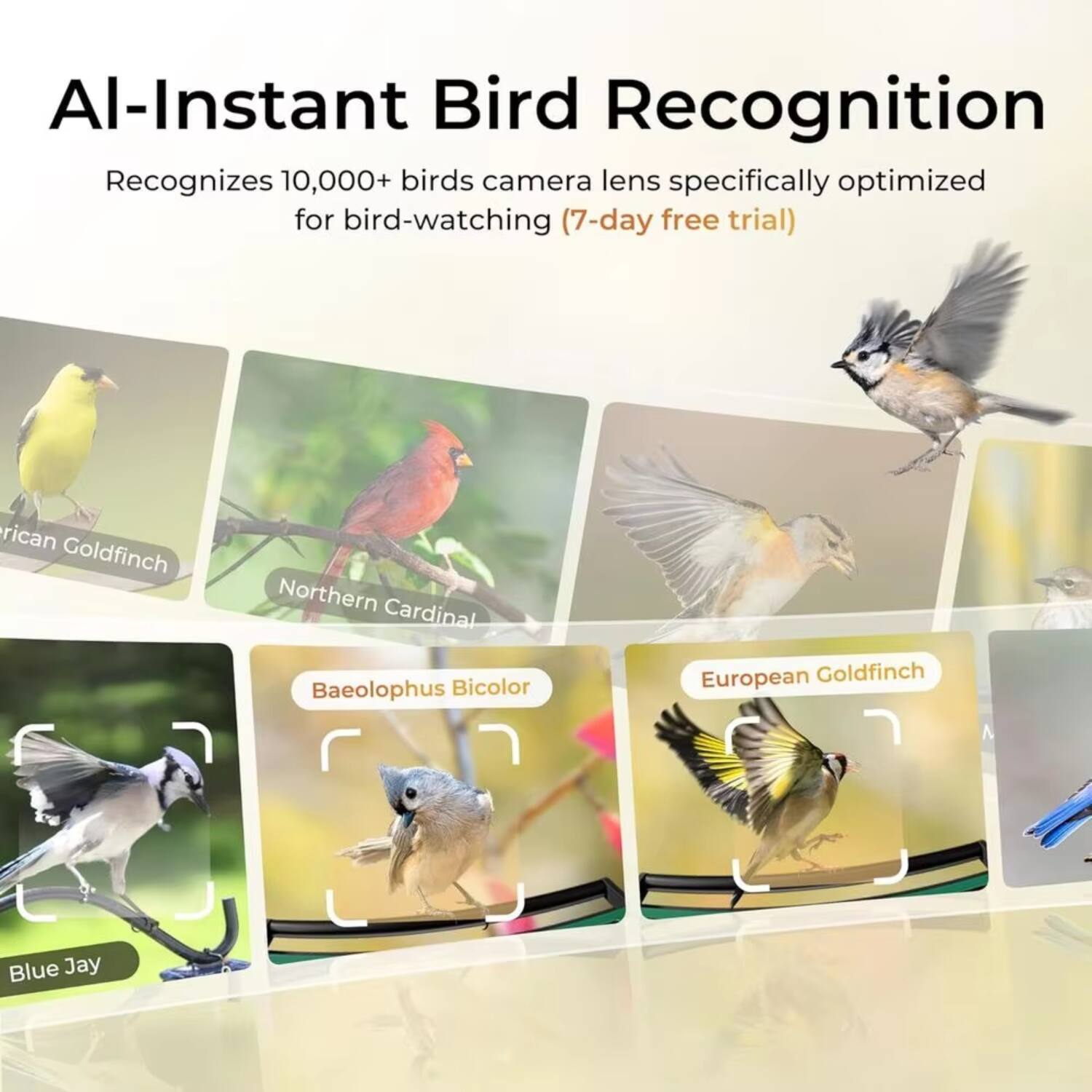 Al-Instant Bird Recognition  
Recognizes 10,000+ birds camera lens specifically optimized for bird-watching (7-day free trial)  

- American Goldfinch  
- Northern Cardinal  
- Baeolophus Bicolor  
- Blue Jay  
- European Goldfinch