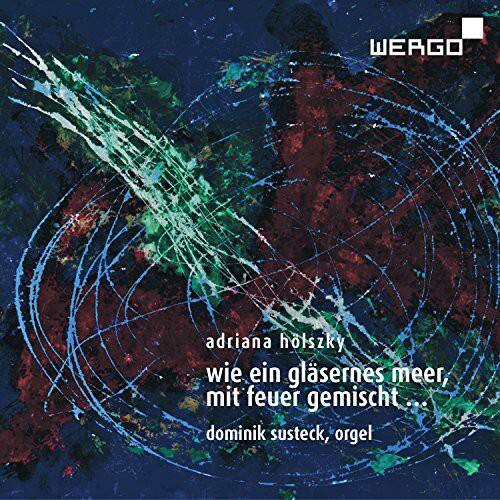 Holszky / Susteck / Ahrendt - Wie Ein Glasernes Meer Mit Feuer Gemischt   - COMPACT DISCS [CD]