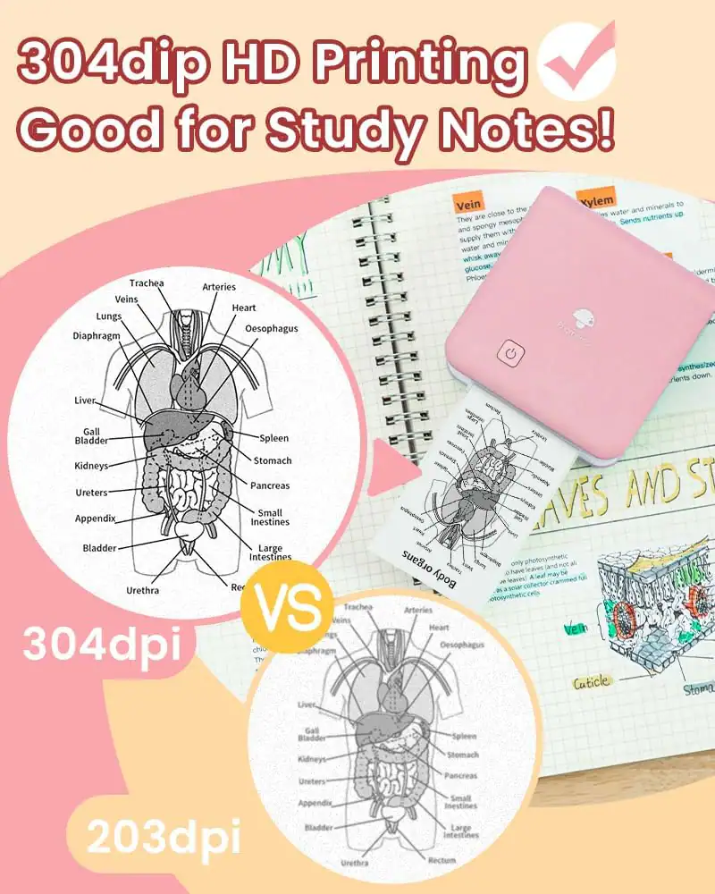 Phomemo M02 PRO Sticker Maker for AI Stickers, Photos and Study Notes ...