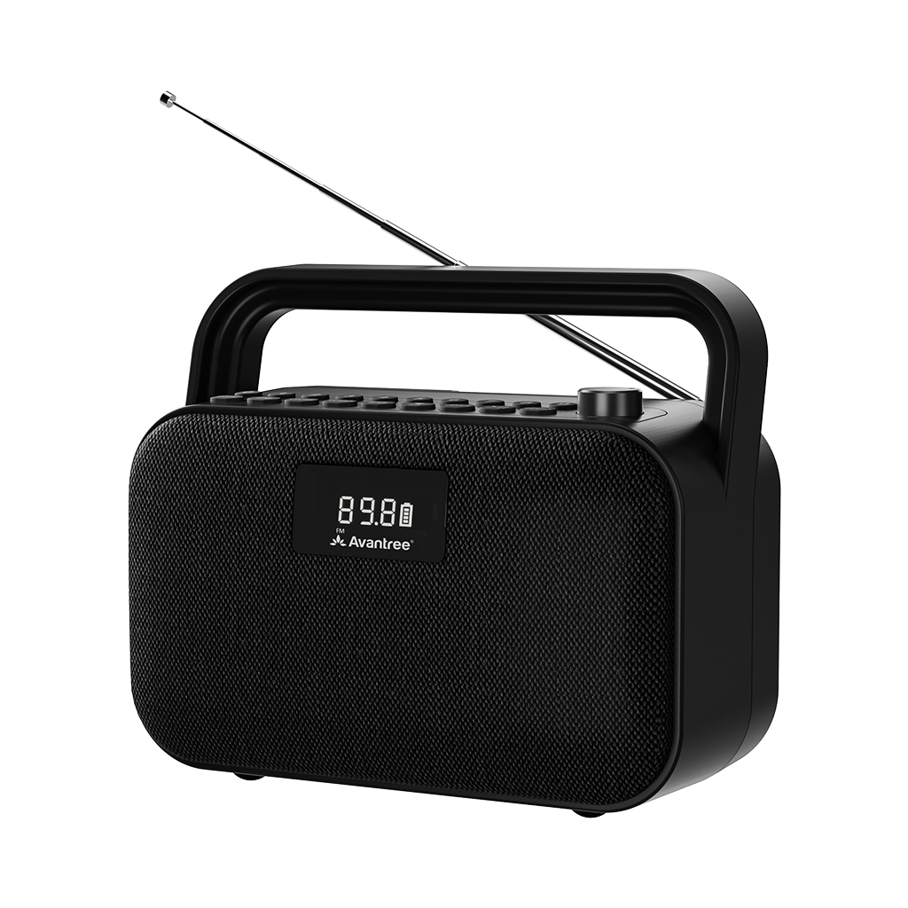 Avantree - PowerByte - Portable FM Radio with Powerful 30W Stereo Bluetooth Speakers & SD Card Player