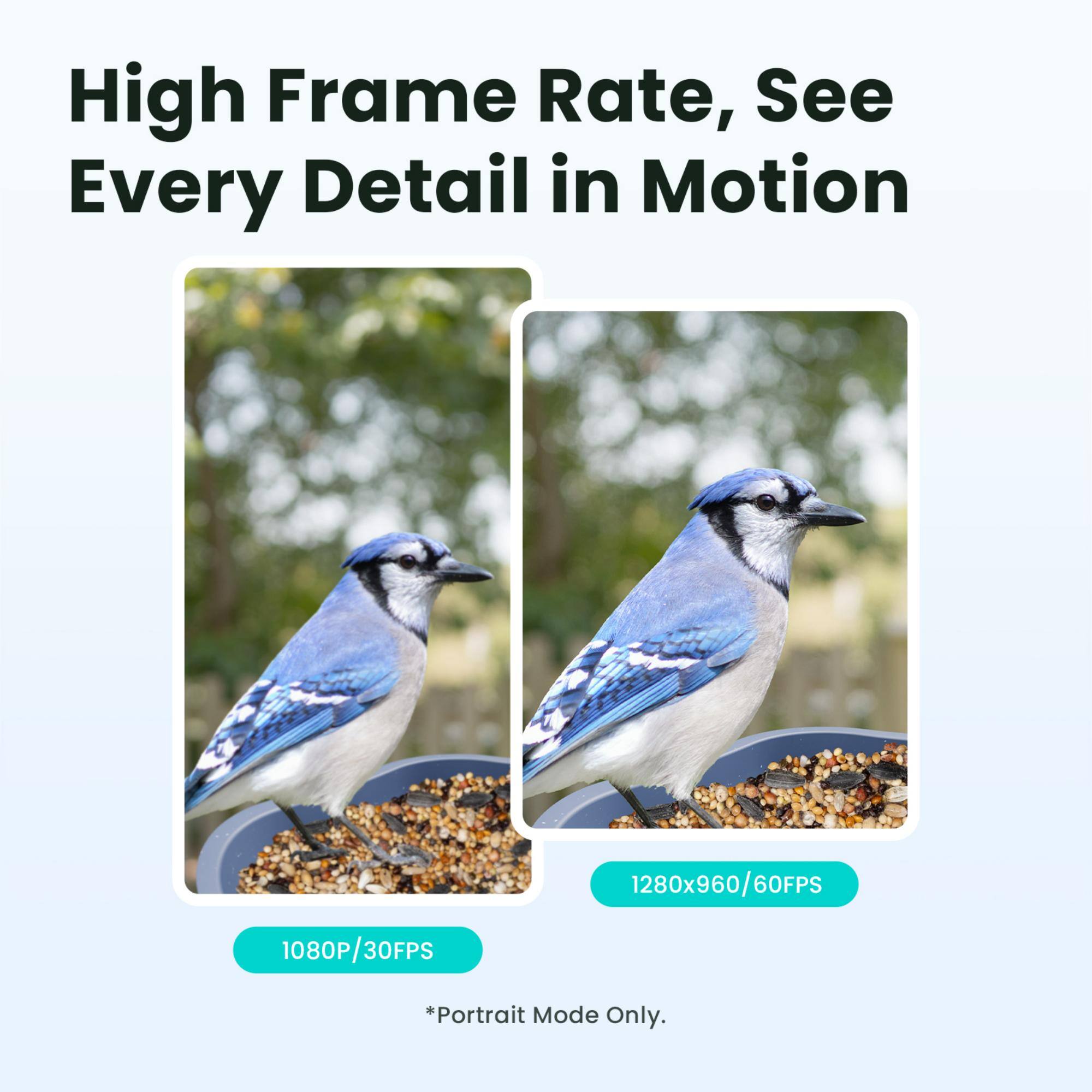 High Frame Rate, See Every Detail in Motion  
1280x960/60FPS  
1080P/30FPS  
*Portrait Mode Only.