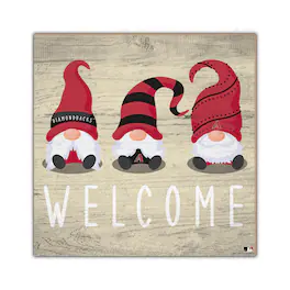 Fan Creations - Arizona Diamondbacks 10'' x 10'' Welcome Gnomes Sign - Multicolor