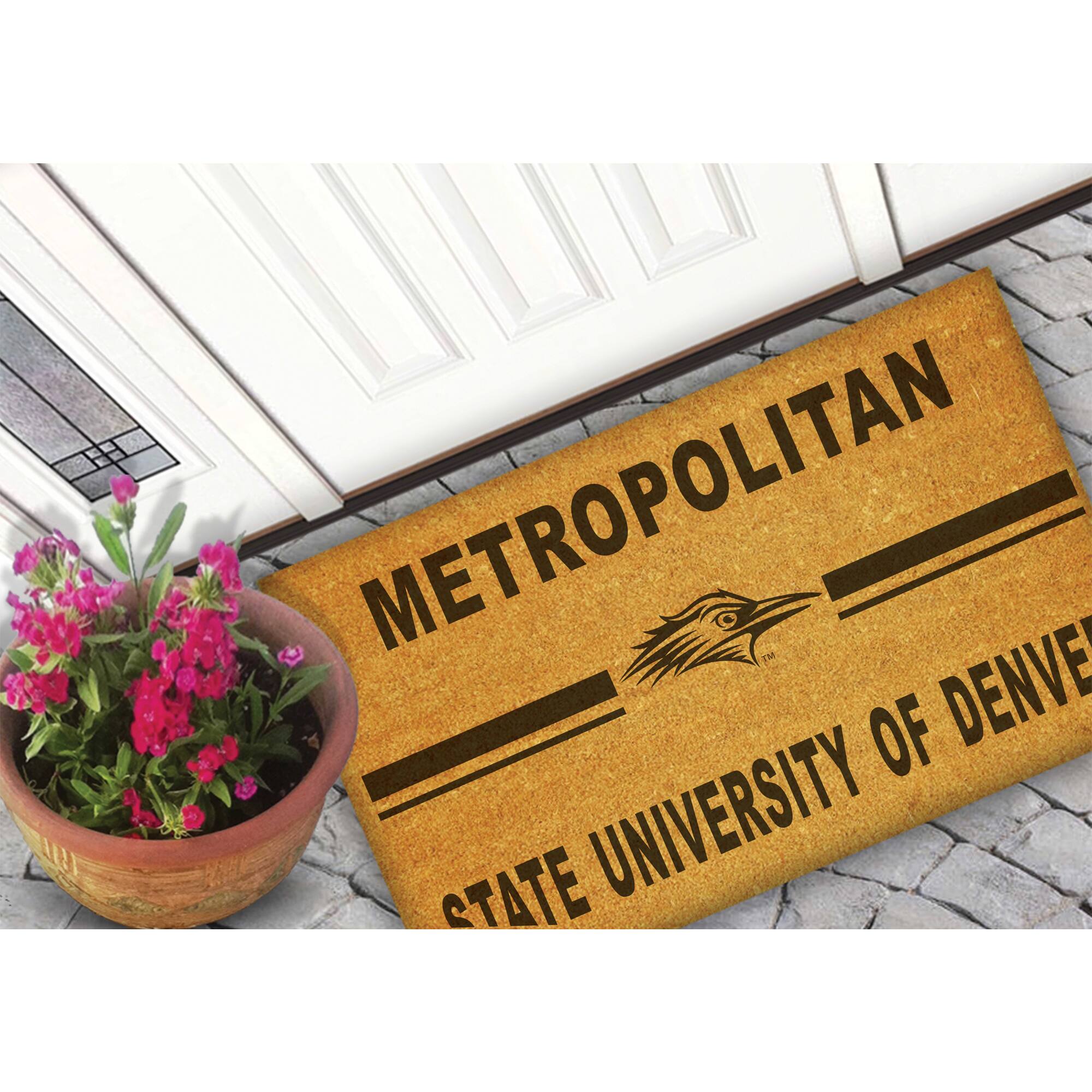 METROPOLITAN  
STATE UNIVERSITY OF DENVER