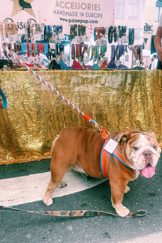 ACCESSORIES HANDMADE IN EUROPE www.poisepup.com