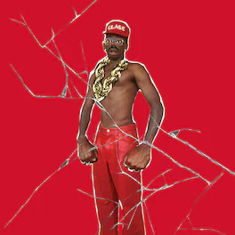 Tyler, The Creator - Don't Tap The Glass - VINYL LP