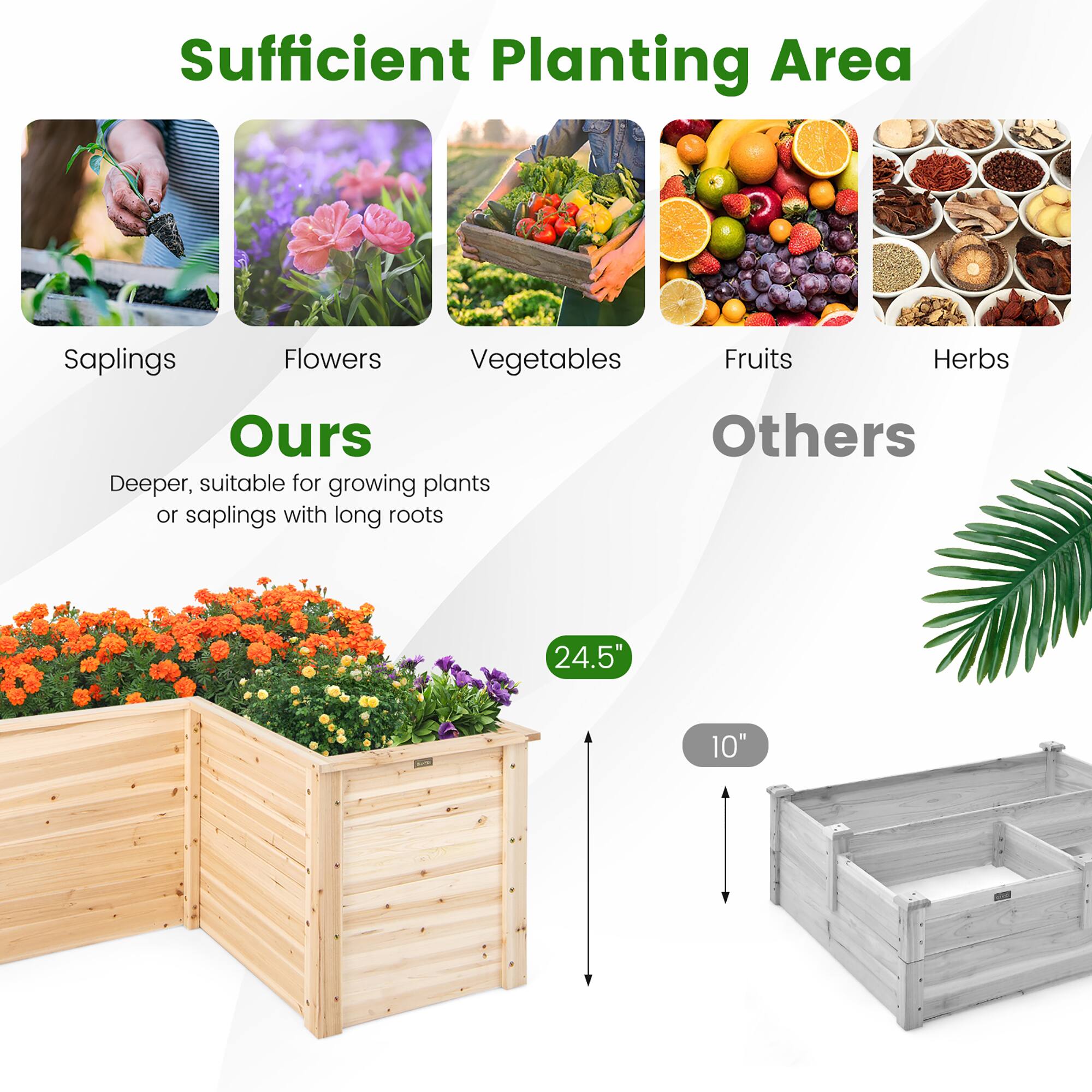 Sufficient Planting Area:

* Saplings
* Flowers
* Vegetables
* Fruits
* Herbs

Ours:

* Deeper, suitable for growing plants or saplings with long roots
* 24.5"
* 10"