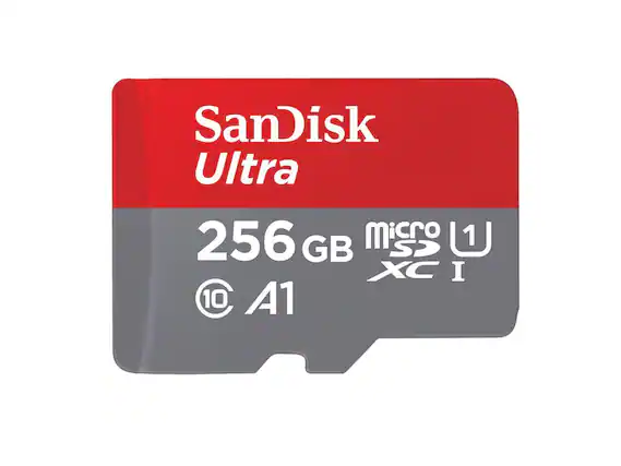 SanDisk Ultra
256 GB
microSDXC I
U1
A1
10