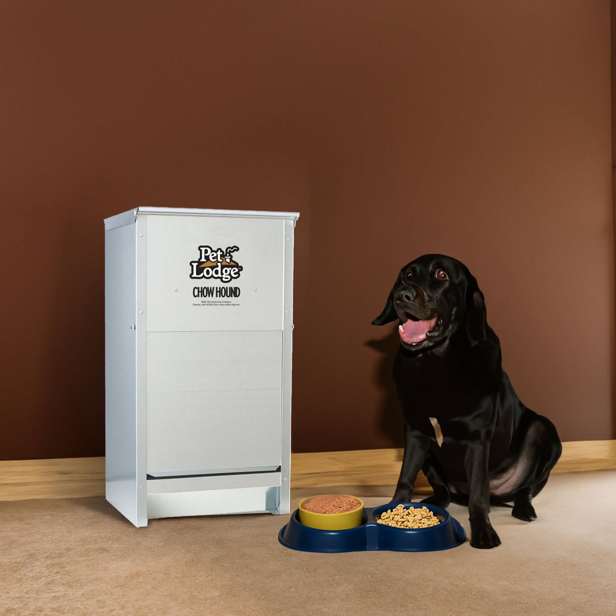 Pet Lodge  
CHOW HOUND