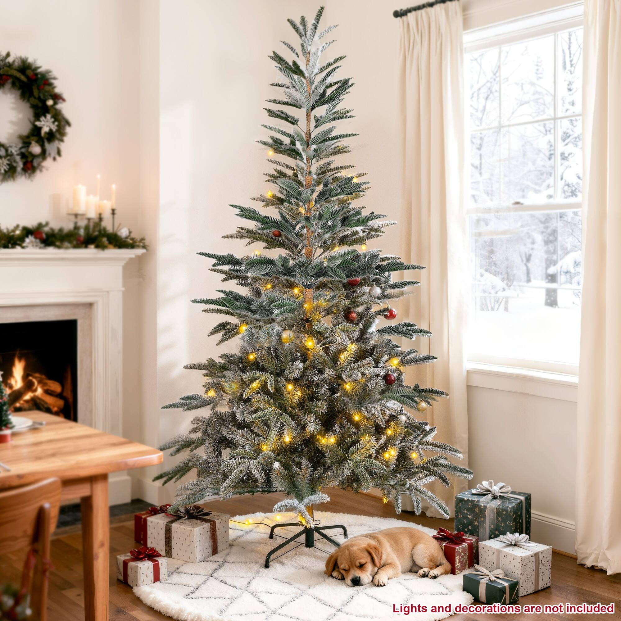 Lights and decorations are not included