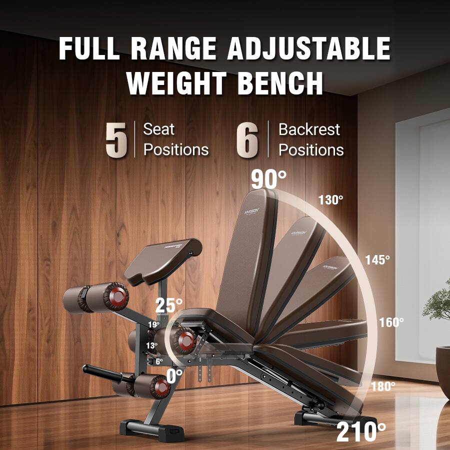 FULL RANGE ADJUSTABLE WEIGHT BENCH

5 Seat Positions

6 Backrest Positions

90° 130° 145° 160° 180° 210°

25° 19° 13° 6° 0°