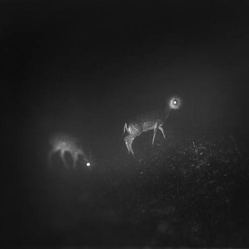 Front. Bliss Signal - Bliss Signal   - COMPACT DISCS.