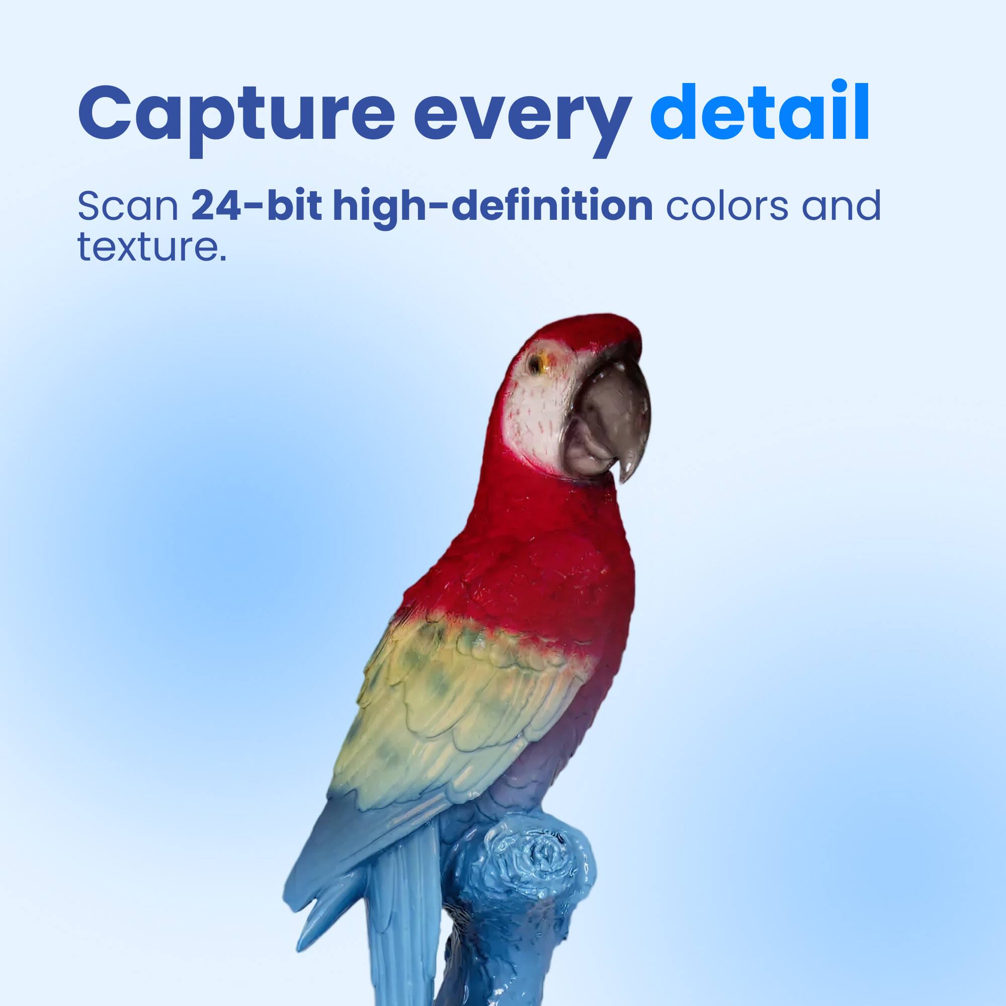Capture every detail. Scan 24-bit high-definition colors and texture.