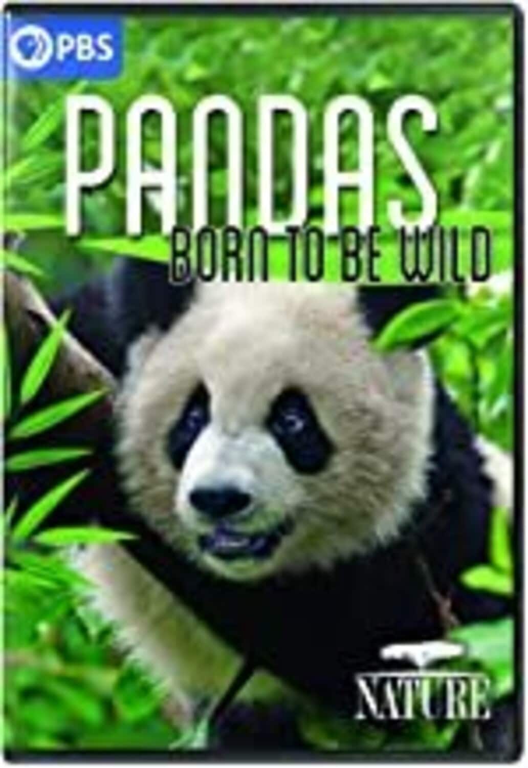 NATURE: Pandas - Born to Be Wild  - DVD