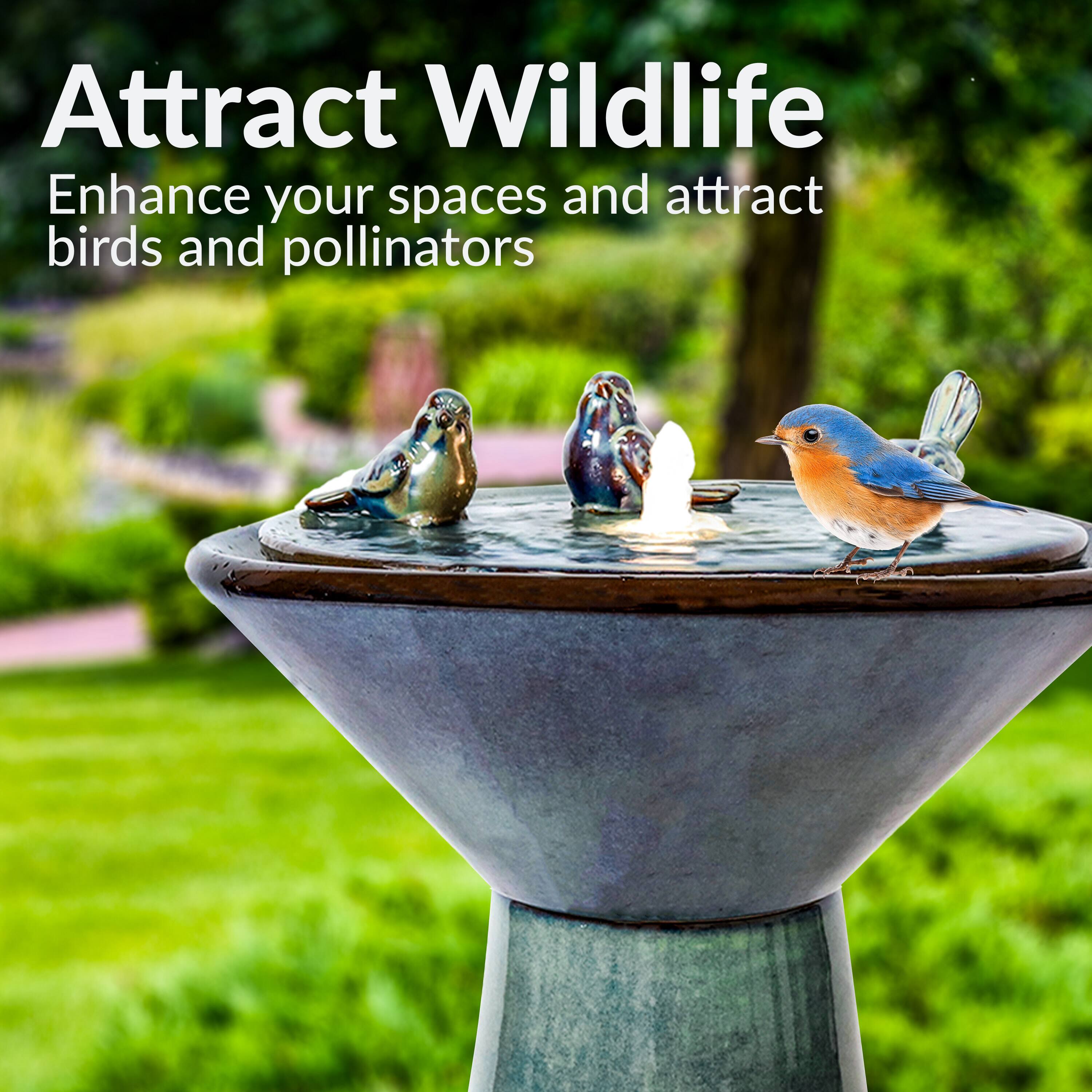 Attract Wildlife  
Enhance your spaces and attract birds and pollinators