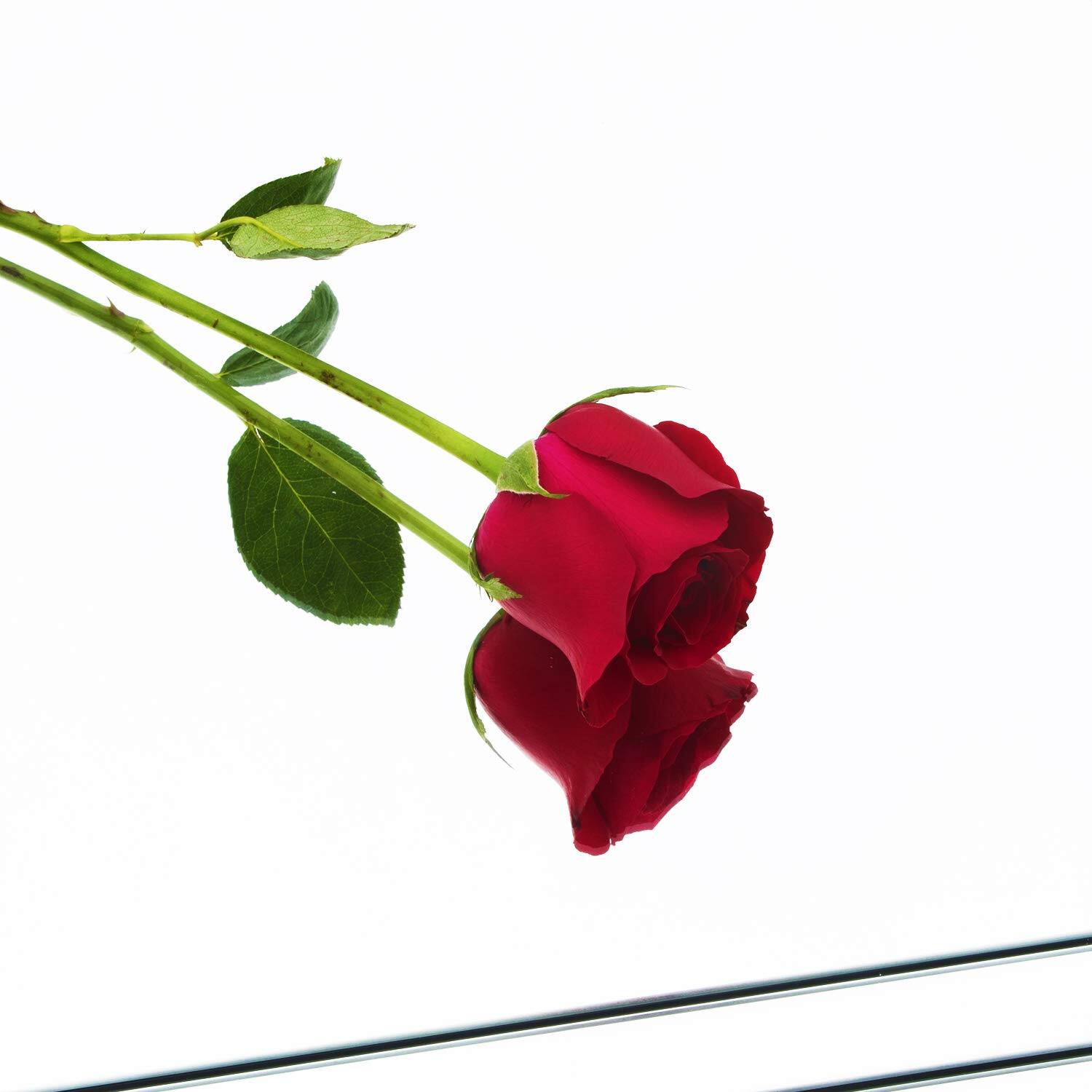 Alt View 1. Live At Space - Home Gym Mirrors 12 Inch X 12pcs Wall Mounted Mirror Glass Frameless Full Length Tiles For Bedroom Door & Bathroom - 12"x12"-16pcs.