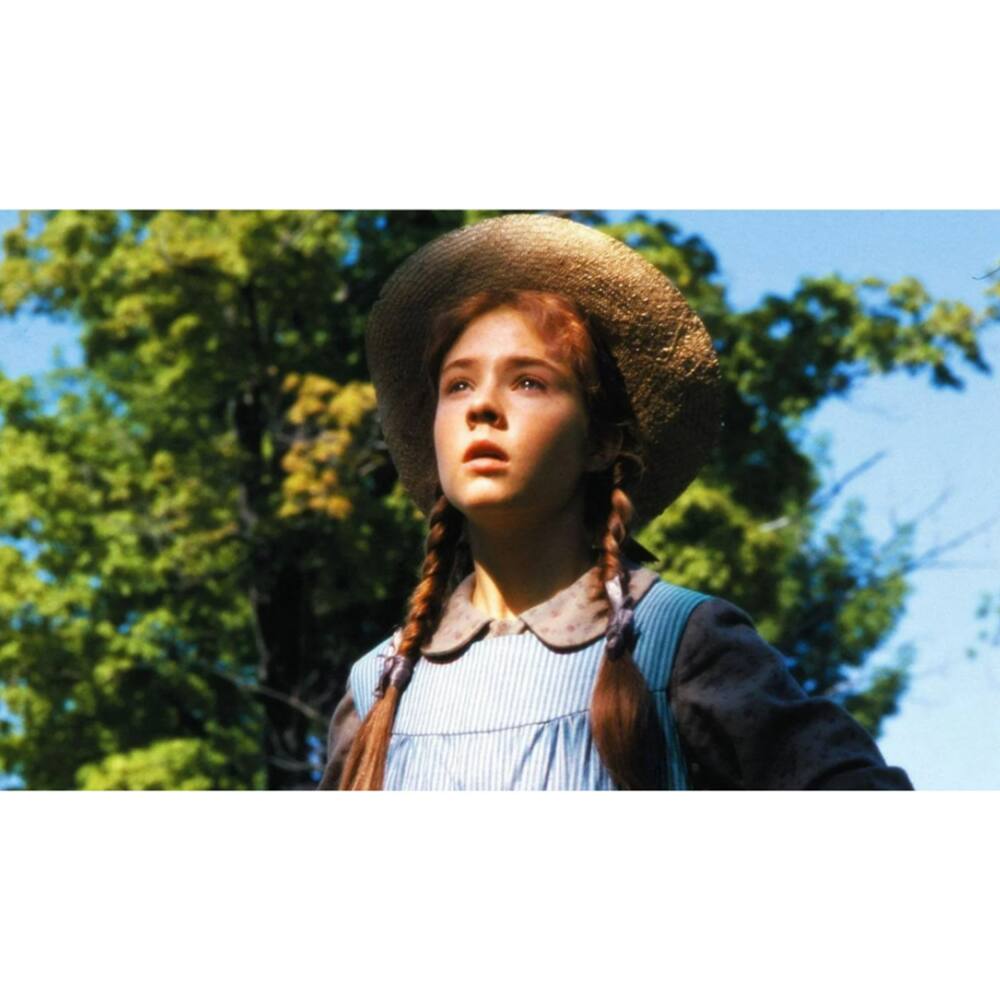 Left. Anne of Green Gables (Five-Disc Collector's Edition)   - DVD.