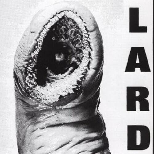Lard - Power of Lard   - 12-INCH SINGLE [12 inch Vinyl Single]