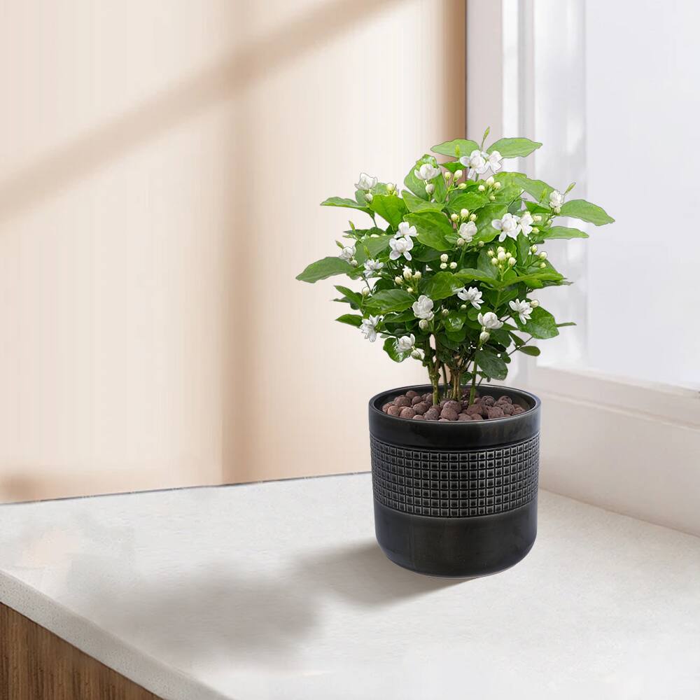 Angle. Loheer - Loheer Ceramic Planter Set, Handmade Black Glazed Pots for Succulents and Cacti, Drainage Holes, Indoor Outdoor.
