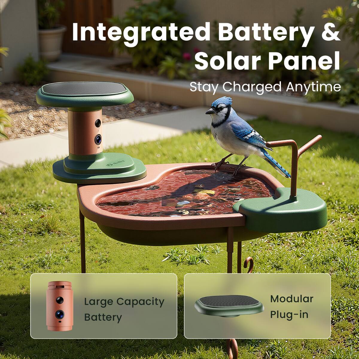 Integrated Battery & Solar Panel  
Stay Charged Anytime  

Large Capacity Battery  
Modular Plug-in
