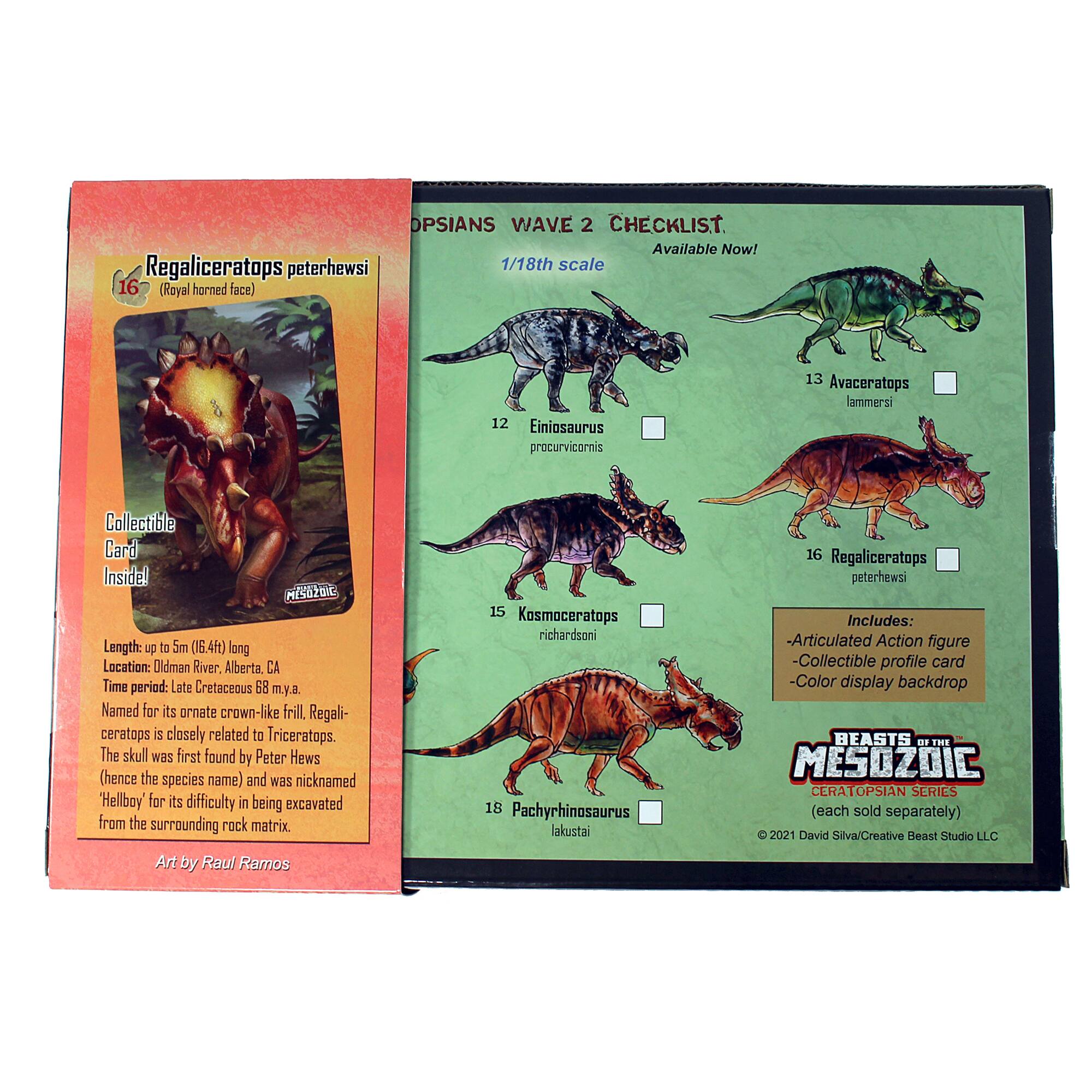 OPSIANS WAVE 2 CHECKLIST. Available Now! Regaliceratops peterhewsi 1/18th scale 16 (Royal horned face) 12 Einiosaurus procurvicornis 13 Avaceratops lammersi Collectible Card Inside! MESOZOIC Length: up to 5m (16.4ft) long Location: Oldman River, Alberta, CA Time period: Late Cretaceous 68 my.a. Named for its omnate crown-like frill Regali-ceratops 5 closely related to Triceratops. The skull was first found by Peter Hews (hence the species name) and was nicknamed "Hellboy" for its difficulty in being excavated from the surrounding rock matrix 15 Kosmoceratops richardsoni 16 Pachyrhinosaurus lakustai 17 Regaliceratops peterhewsi Includes: -Articulated Action figure -Collectible profile card -Color display backdrop BEASTS of THE MESOZOIC (each sold separately) 2021 David Silva/Creative Seast Studio LLC Art by Raul Ramos