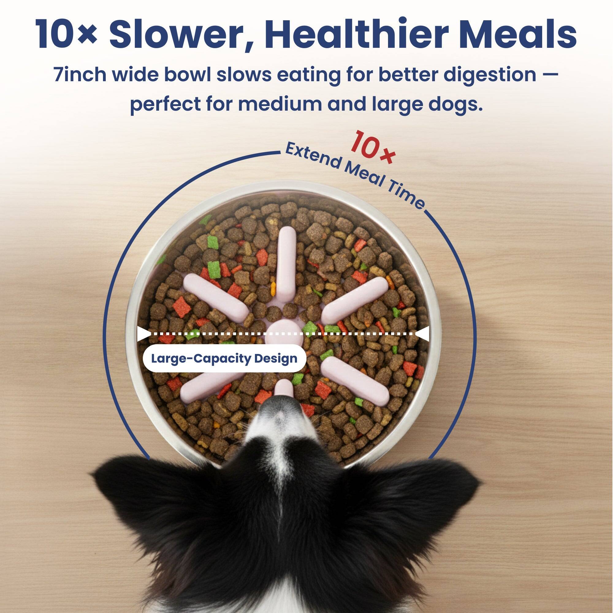 10x Slower, Healthier Meals  
7inch wide bowl slows eating for better digestion – perfect for medium and large dogs.  
Extend Meal Time 10x  
Large-Capacity Design