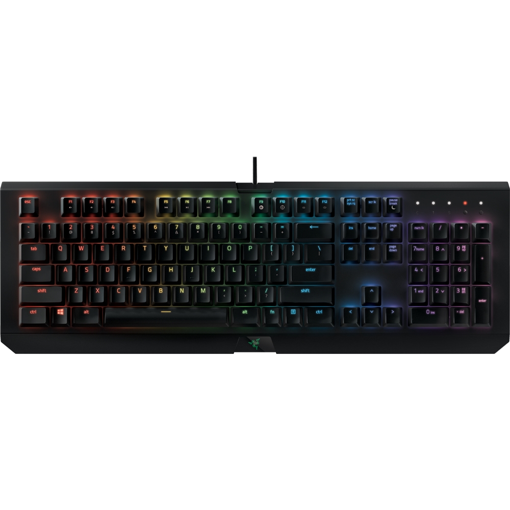  Razer BlackWidow Mechanical Gaming Keyboard: Green Mechanical  Switches - Tactile & Clicky - Chroma RGB Lighting - Anti-Ghosting -  Programmable Macro Functionality : Video Games