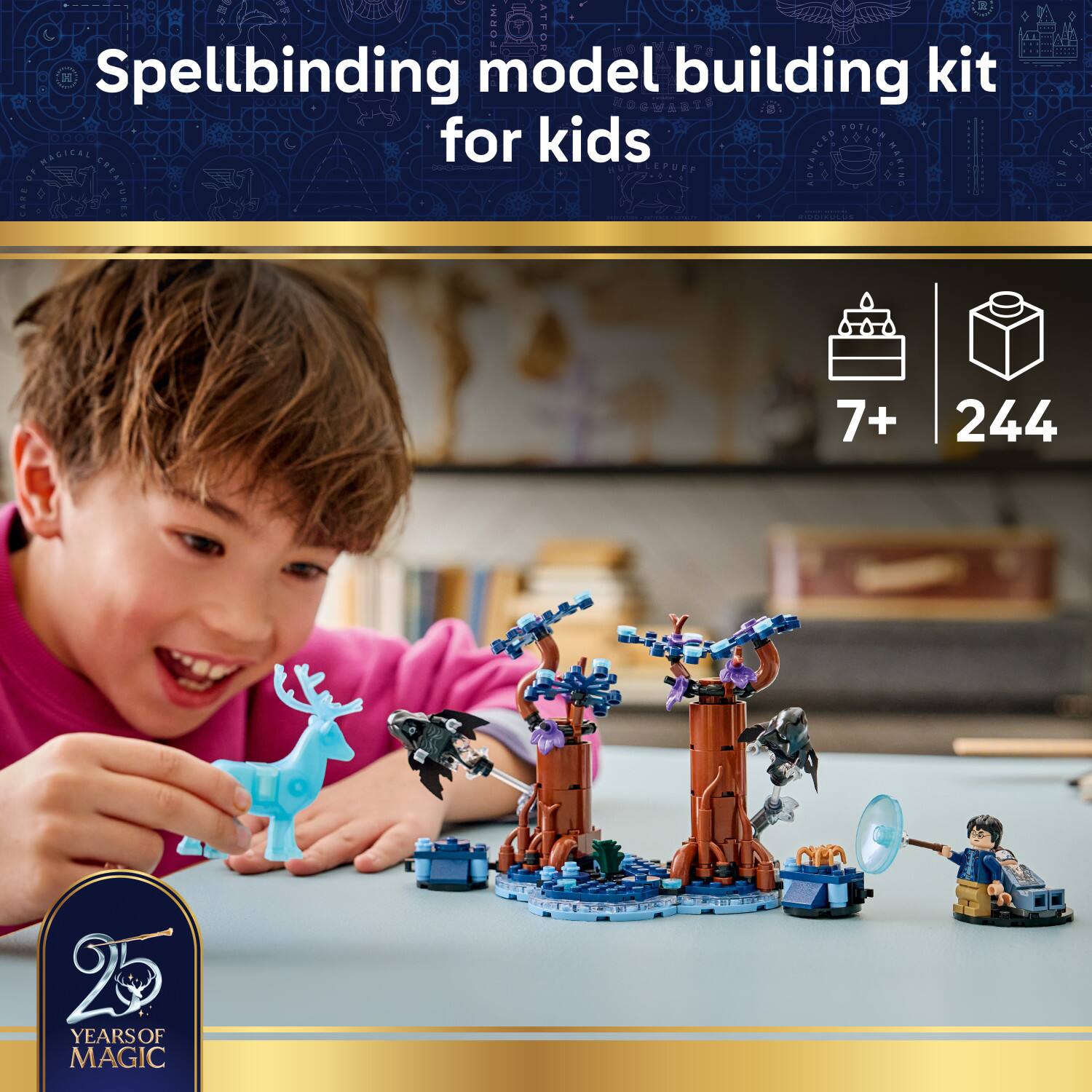 Spellbinding model building kit for kids  
Potions Magical Creatures  
7+  
244  
25 Years of Magic