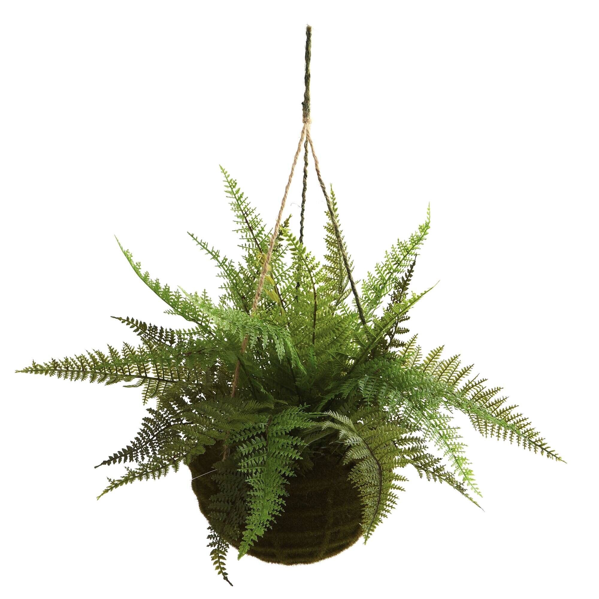 Angle. BreeBe - Leather Fern w/Hanging Basket (Indoor/Outdoor) (Set of 2) - Green.