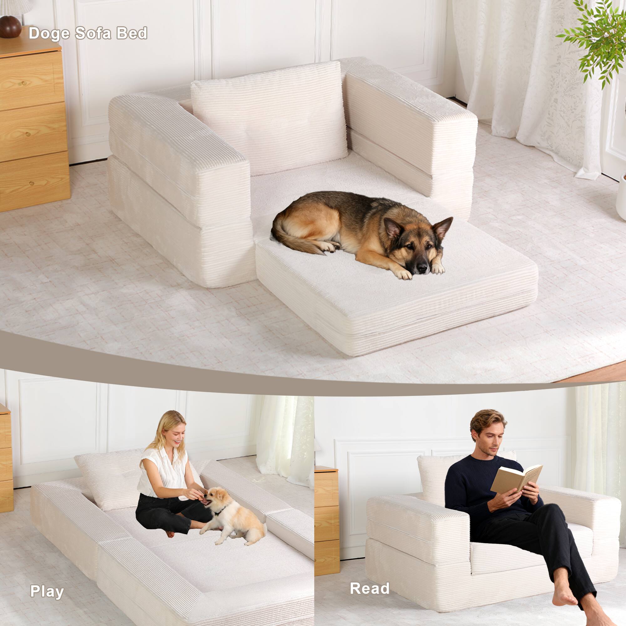 Doge Sofa Bed

Play

Read