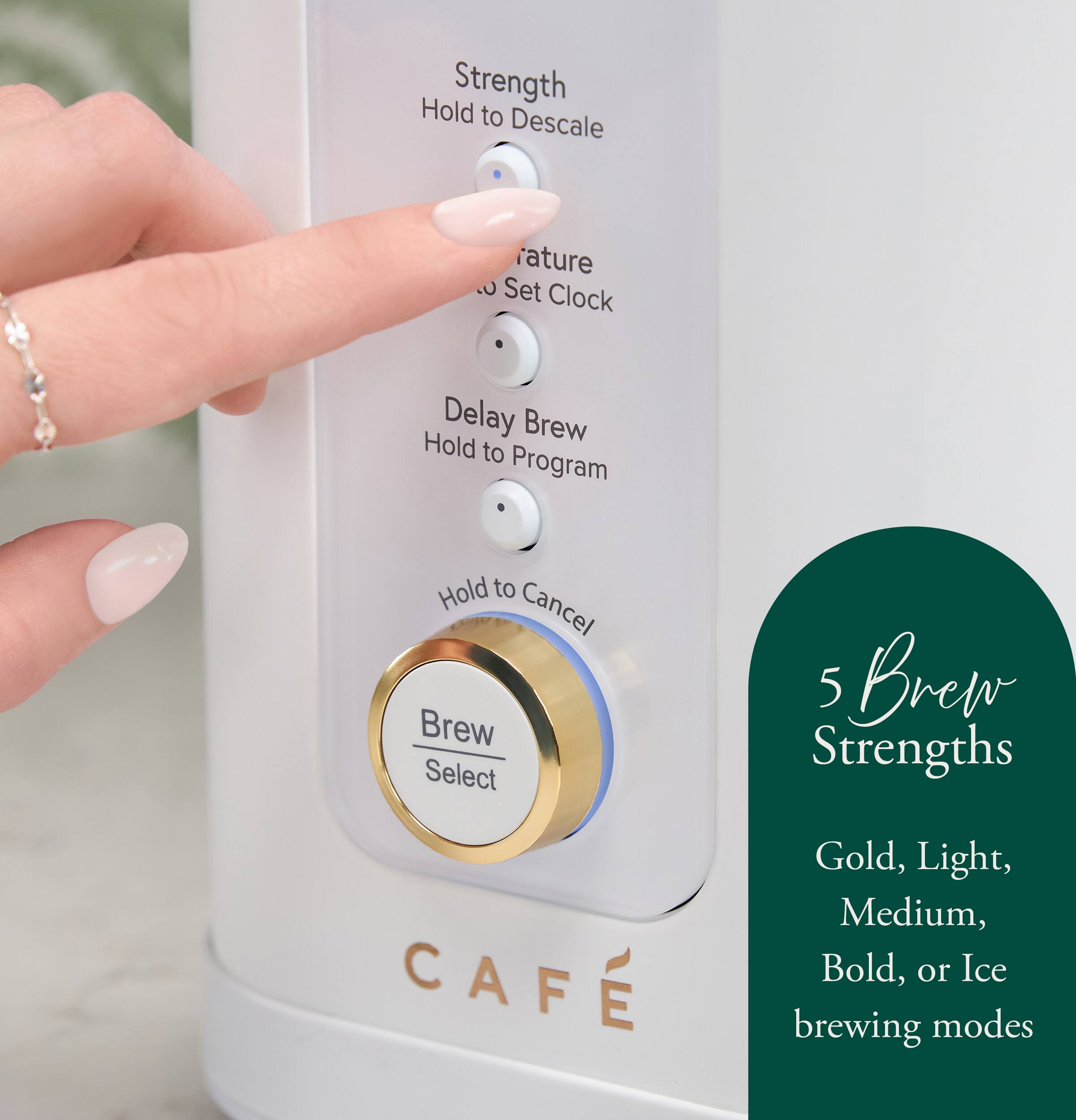 Hold to Descale  
Temperature Set Clock  
Delay Brew Hold to Program  
Hold to Cancel Brew Select  

5 Brew Strengths  
Gold, Light, Medium, Bold, or Ice brewing modes