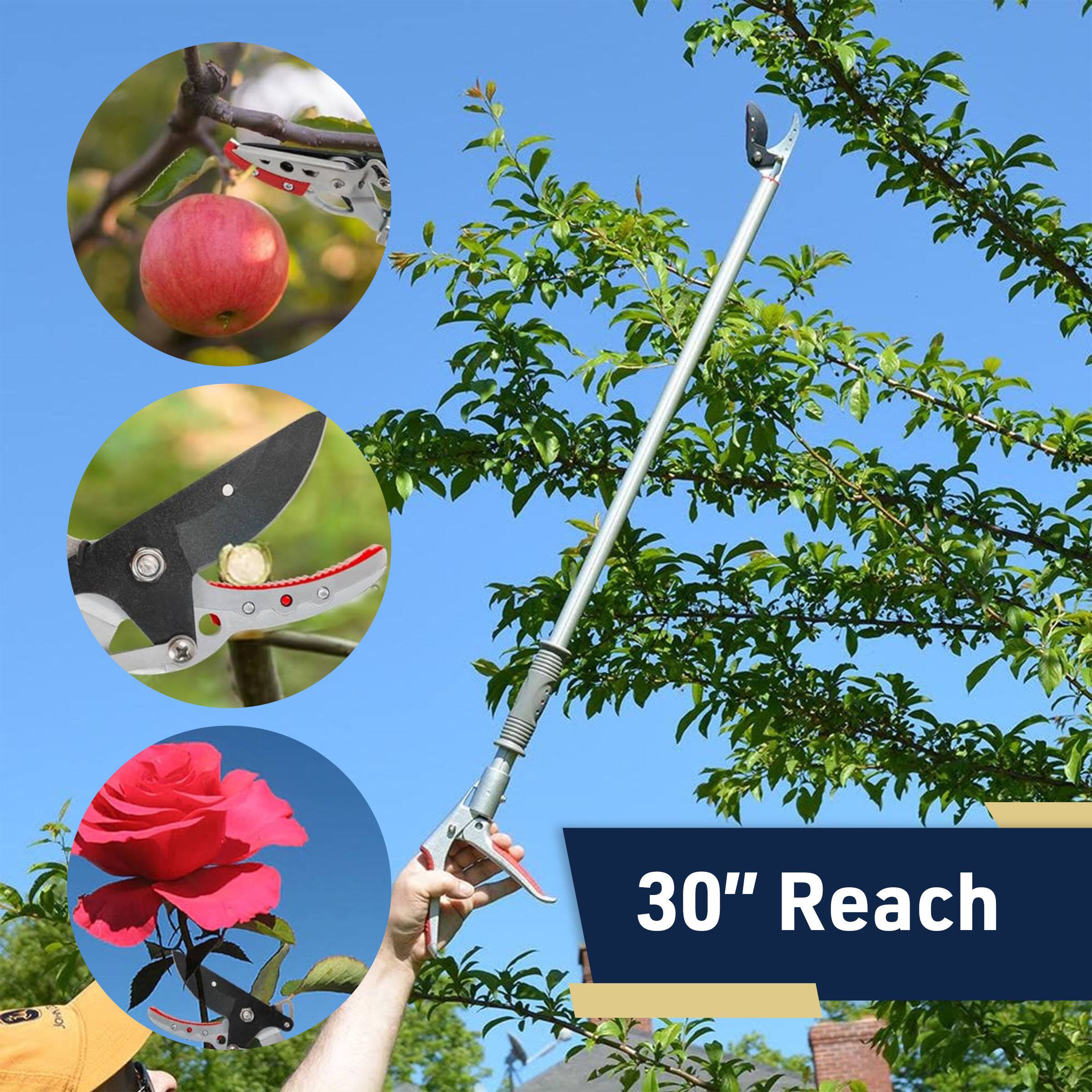 30" Reach