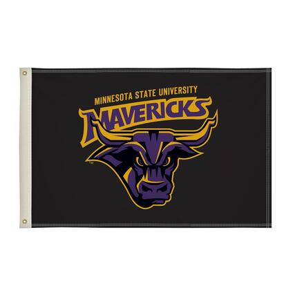 MINNESOTA STATE UNIVERSITY
MAVERICKS™
